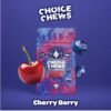 CHOICE CHEWS