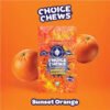 CHOICE CHEWS