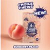 CHOICE CHEWS