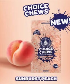 CHOICE CHEWS