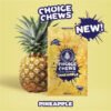 CHOICE CHEWS