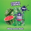 CHOICE CHEWS