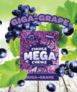 CHOICE CHEWS
